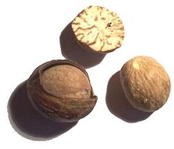 Nutmeg Image