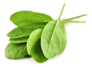 Spinach leaves