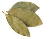 Bay leaves