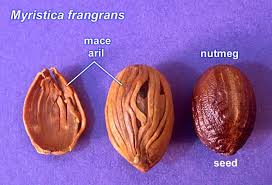 Mace and Nutmeg